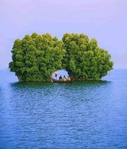 Bliss Homestay Munroe Island Mundrothuruth Εξωτερικό φωτογραφία